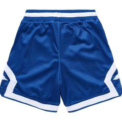 Shorts>LRG Original Roots Mesh Shorts Royal