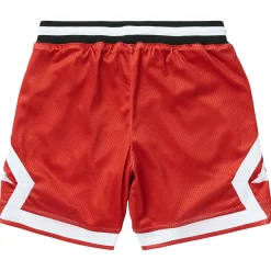 Shorts>LRG Resolutionary Lifted Mesh Shorts Red