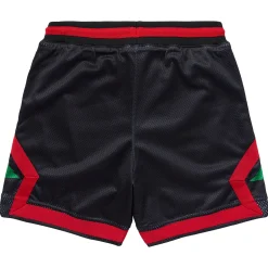 Shorts>LRG Resolutionary Lifted Mesh Shorts Black