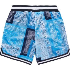 Shorts>LRG Strictly Script Roots Mesh Shorts Blue